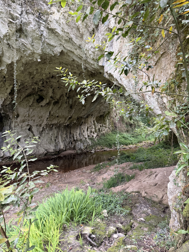 Formación natural del Arco de Torre entre vegetación y río